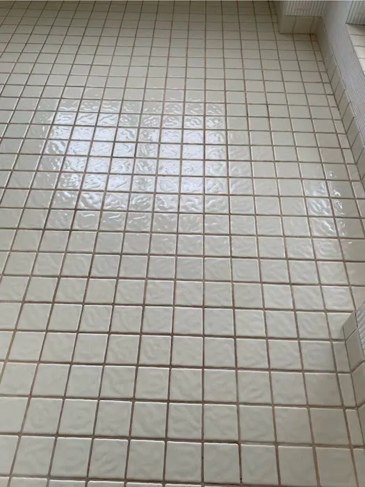 Offshore Carpet Cleaning and Janitorial Services Picture 5