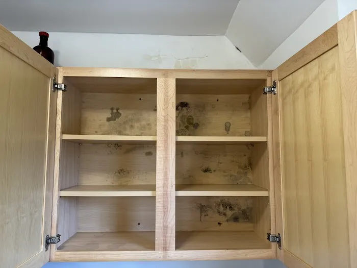 Disaster Recovery Inc. Picture 5