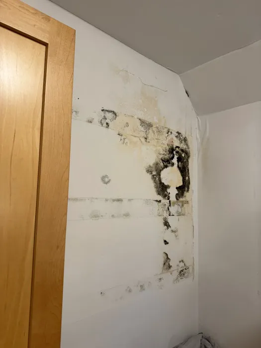 Disaster Recovery Inc. Picture 3