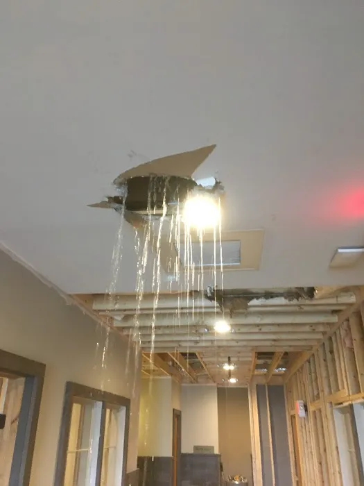 Disaster Recovery Inc. Picture 7