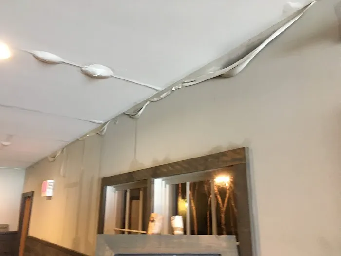 Disaster Recovery Inc. Picture 1