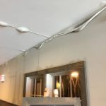 Disaster Recovery Inc.