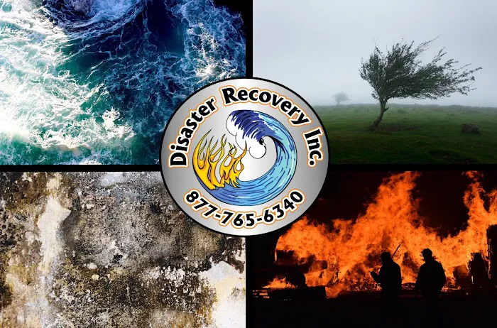 Disaster Recovery Inc. Picture 10