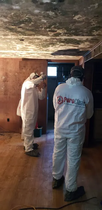 PuroClean Emergency Property Recovery Picture 1