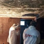 PuroClean Emergency Property Recovery