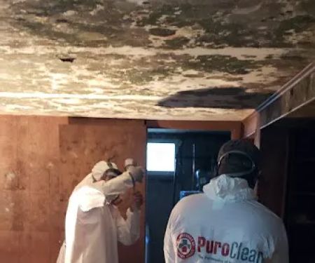 PuroClean Emergency Property Recovery