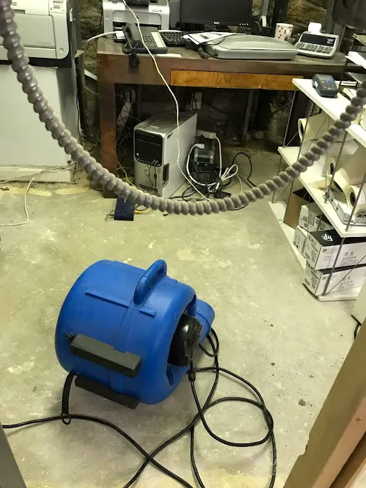 Mineola Mold Removal Picture 2