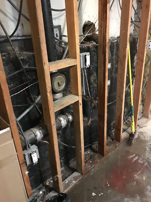 Mineola Mold Removal Picture 1