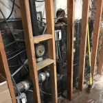 Mineola Mold Removal