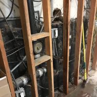 Mineola Mold Removal ico