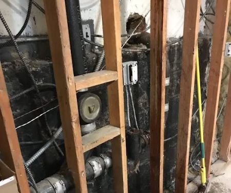 Mineola Mold Removal