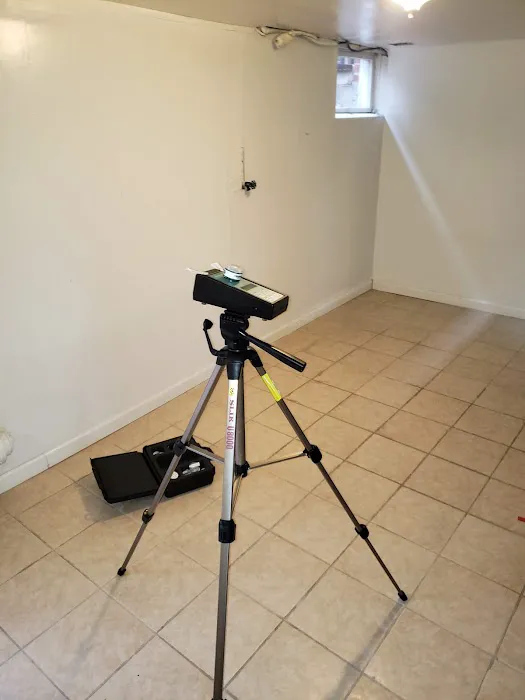 Mineola Mold Removal Picture 3