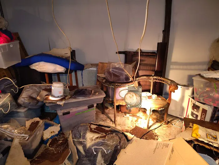 PuroClean of Jericho Picture 10