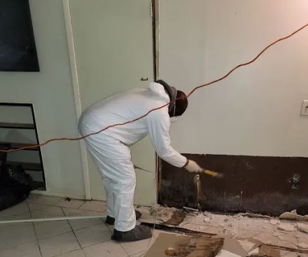 PuroClean of Jericho