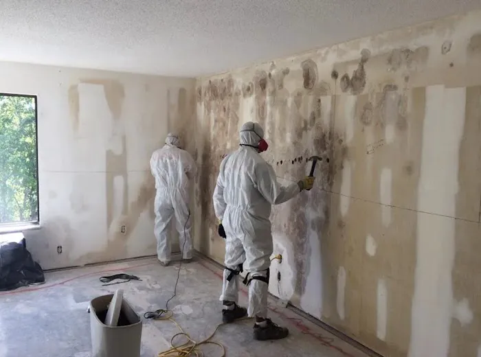 Max Mold Removal Picture 2