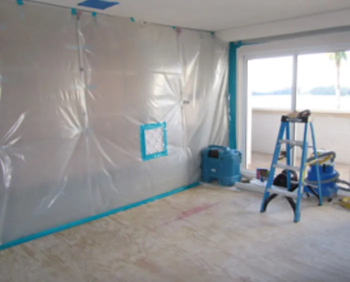 Max Mold Removal Picture 1