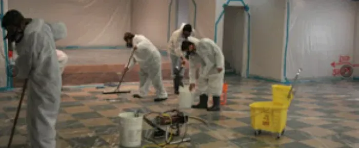 Long Island Best Mold Removal Picture 2