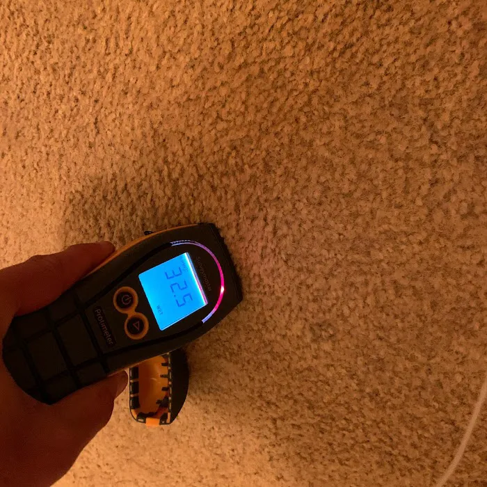 Long Island Best Mold Removal Picture 10