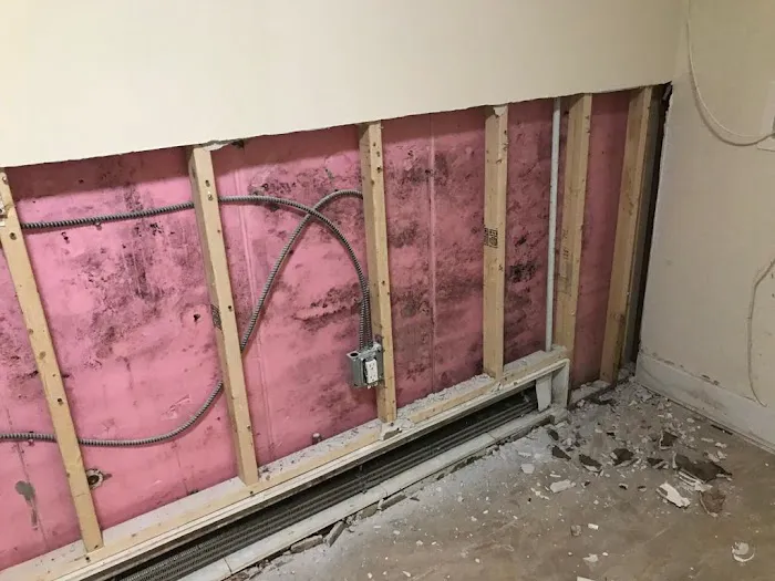 Long Island Best Mold Removal Picture 8