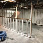 Long Island Best Mold Removal