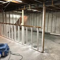 Long Island Best Mold Removal ico