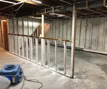 Long Island Best Mold Removal