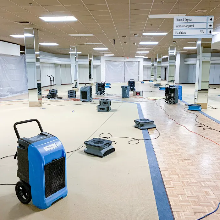 Force 1 Restoration Services Picture 3