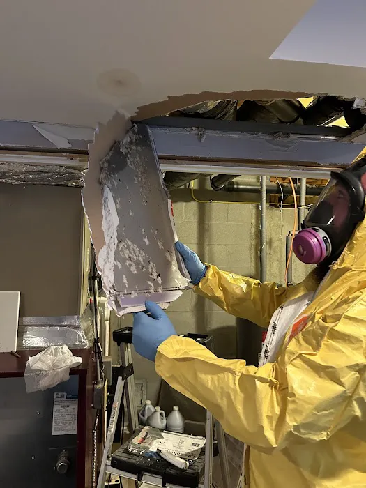 Al's Absolute Best Restoration and Cleaning Services Picture 8