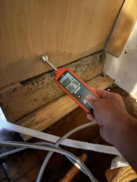 Al's Absolute Best Restoration and Cleaning Services Picture 7