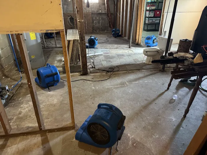 Al's Absolute Best Restoration and Cleaning Services Picture 4