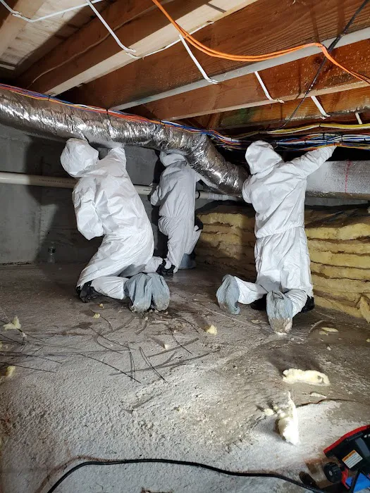 Healthy Home Services NY Picture 5