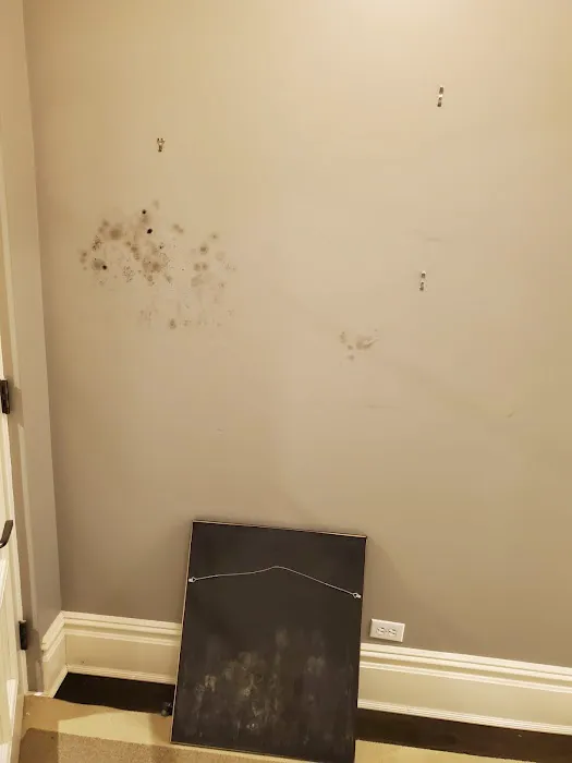 Healthy Home Services NY Picture 1