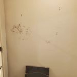 Healthy Home Services NY