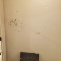 Healthy Home Services NY ico