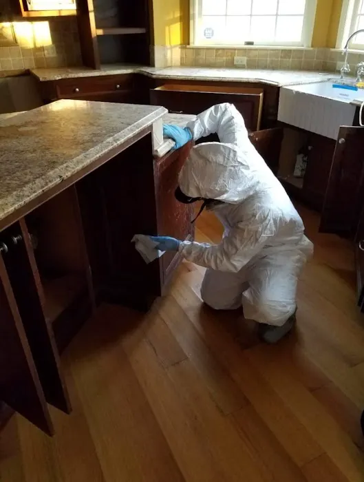 Healthy Home Services NY Picture 7