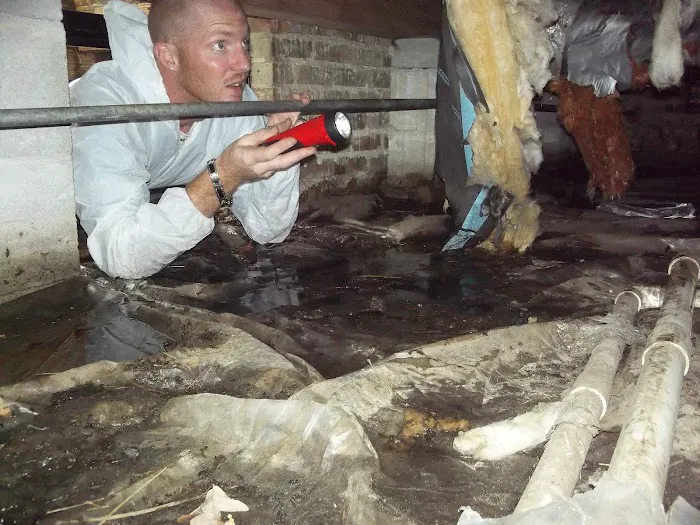 Gilbert & Son Moisture, Mold & Foundation Picture 1