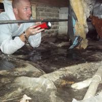 Gilbert & Son Moisture, Mold & Foundation ico