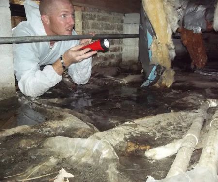 Gilbert & Son Moisture, Mold & Foundation