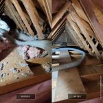 Home Maintenance Associates Inc.