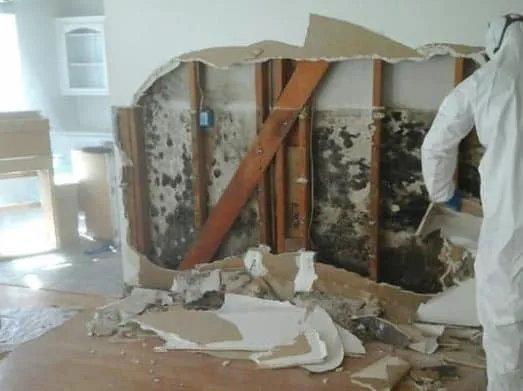 Home Maintenance Associates Inc. Picture 6