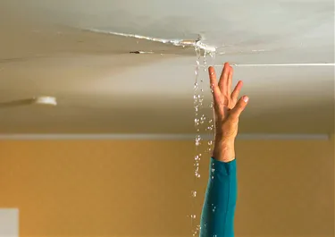 VT 24 Hr Emergency Services Picture 7