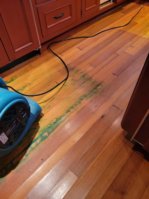 VT 24 Hr Emergency Services Picture 4