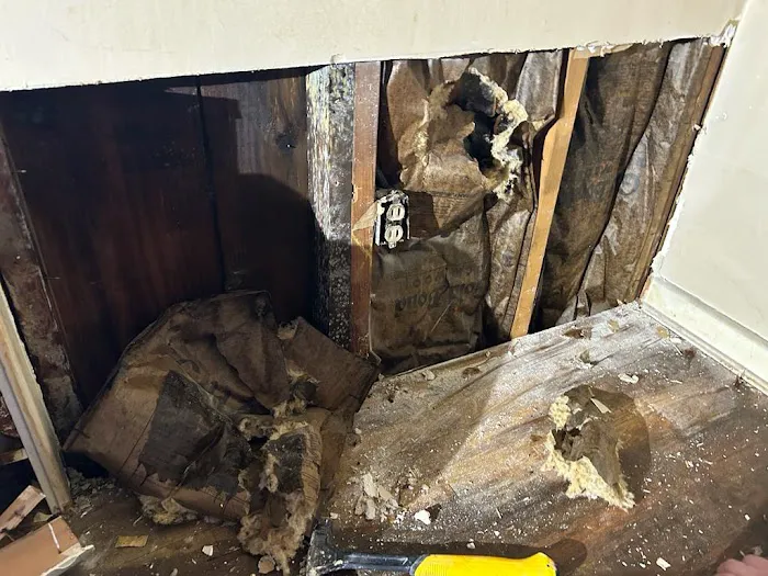 1800 of Water Damage of Nassau County Picture 5