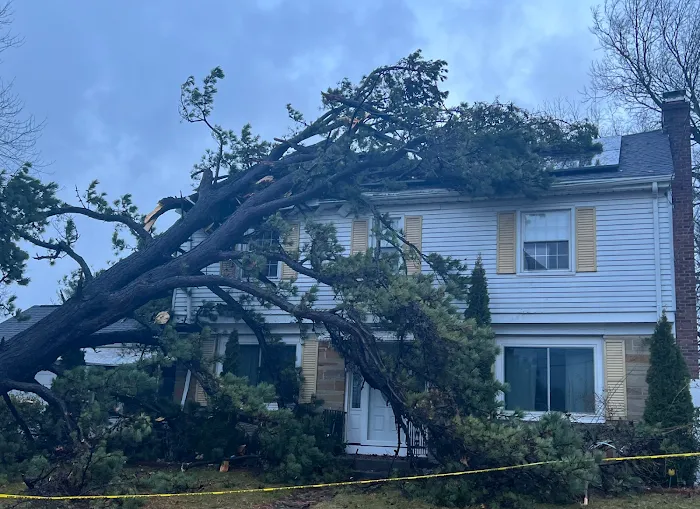 Disaster Recovery 24/7 Specialists Corp. Picture 3