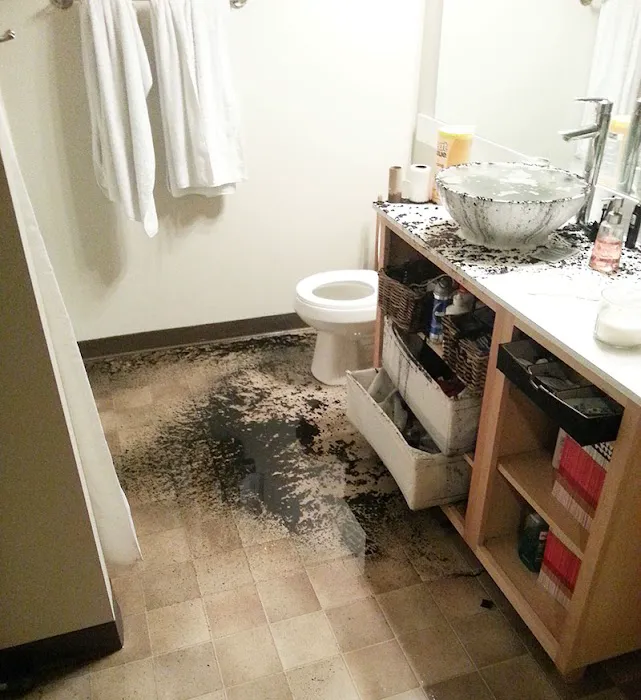 Disaster Recovery 24/7 Specialists Corp. Picture 8