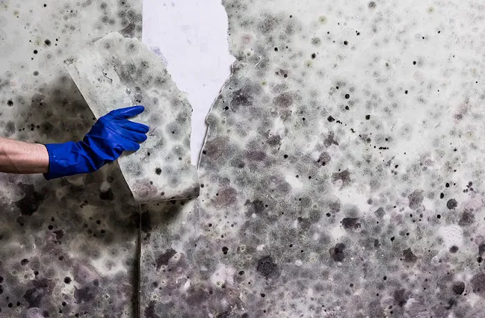 Total Restoration Industries, LLC Picture 2