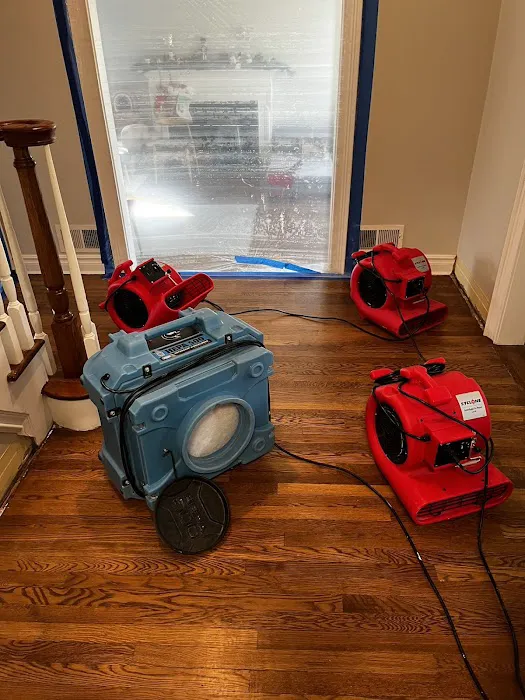 Blue Arrow Restoration 蓝箭环境工程 Picture 1