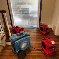 Blue Arrow Restoration 蓝箭环境工程 ico