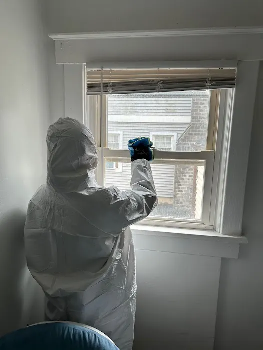 Blue Arrow Restoration 蓝箭环境工程 Picture 9