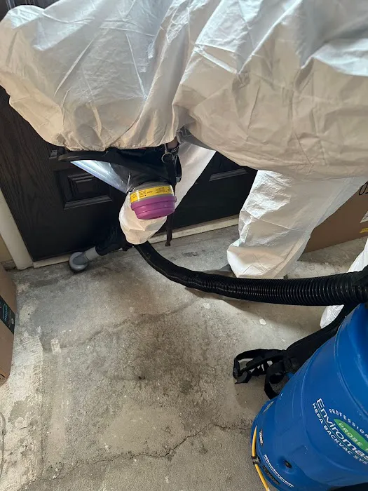 Blue Arrow Restoration 蓝箭环境工程 Picture 3